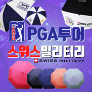 ��ǰ��ȹ���̹���