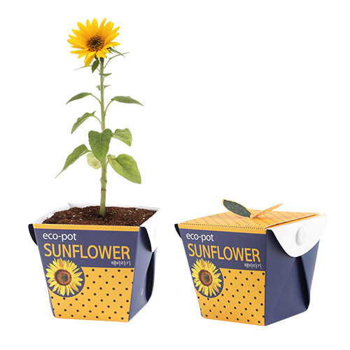 ������- �عٶ��