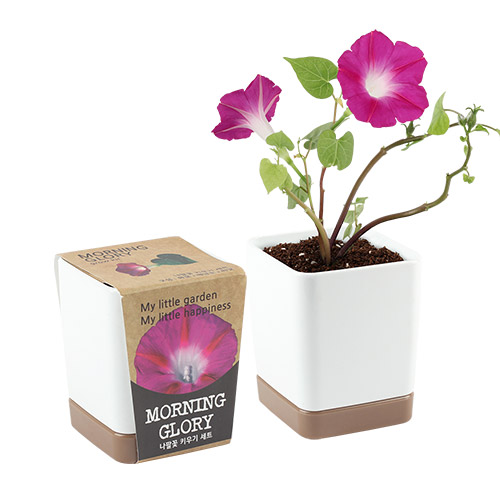 ����簢 ȭ��- ���Ȳ� (�μ� ��ǰ) 