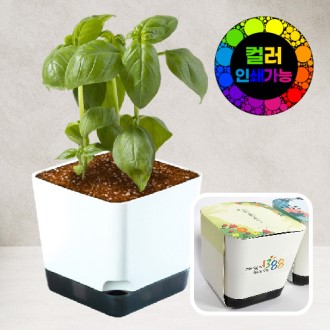 ȭ��Ʈ�簢ȭ�� 8x8 // �÷��μⰡ��