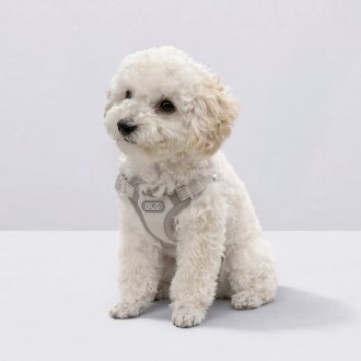 ���� ������ �ϳ׽� �ʼ��� ������ ������ ������ ������ȣ �⵵�й� ���� h�� y�� x�� ��å�� ������ ������ �ְ� �ݷ��� ��