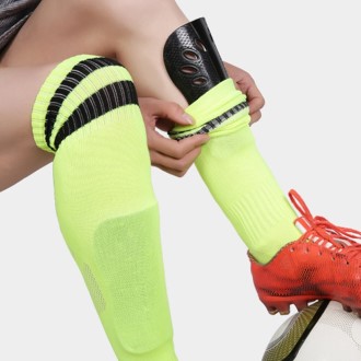 ������ ��ȣ�� �Ű��� �౸ ���� �ƴ� �ʵ��л� ��� �Ƶ��� ����