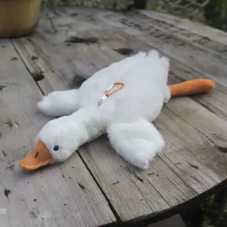 ���� ���� ���� Ű��