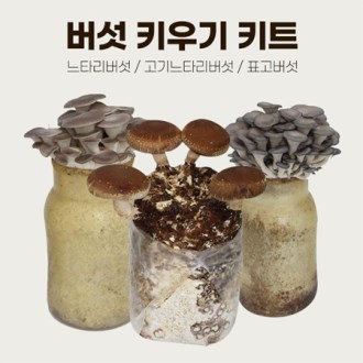 ���� Ű��� ŰƮ