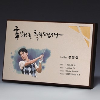 ���� �ι�ȭ �˷�̴� ���� Ʈ���� S8A016-12